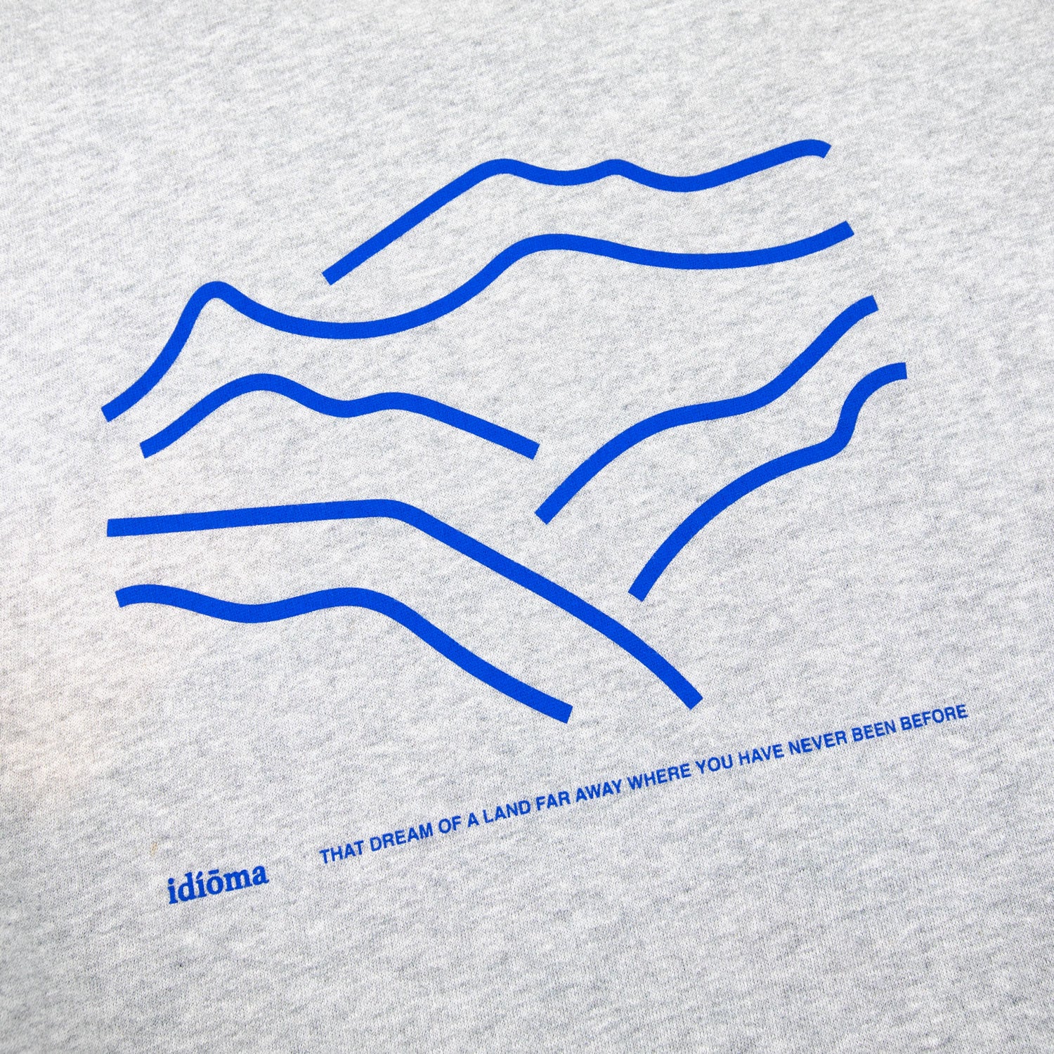Fernweh Sweatshirt (Heather Ash) - Image 4