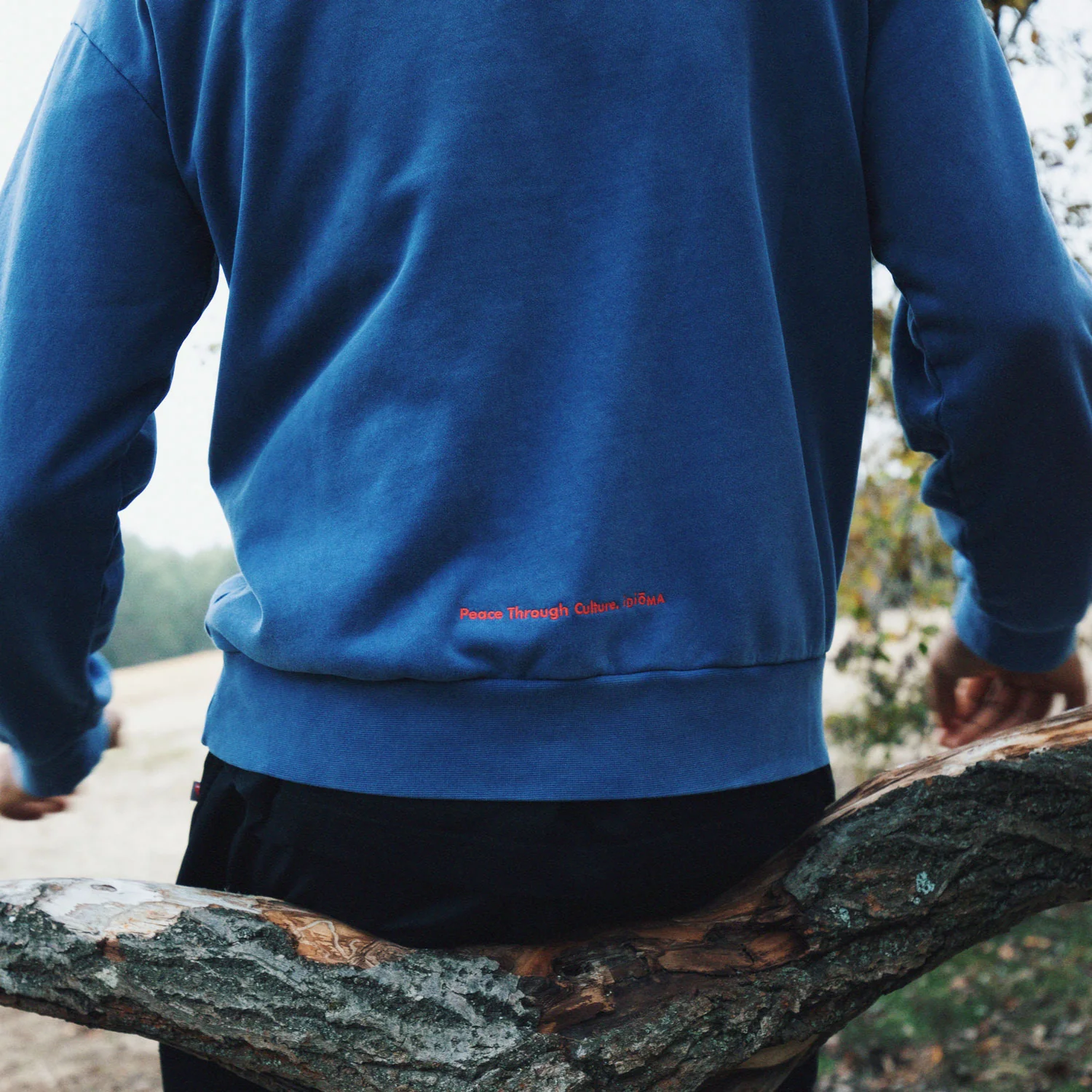 Pax Sweatshirt - Image 6
